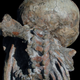 Illustration for article titled Humanity never had a missing link to apes